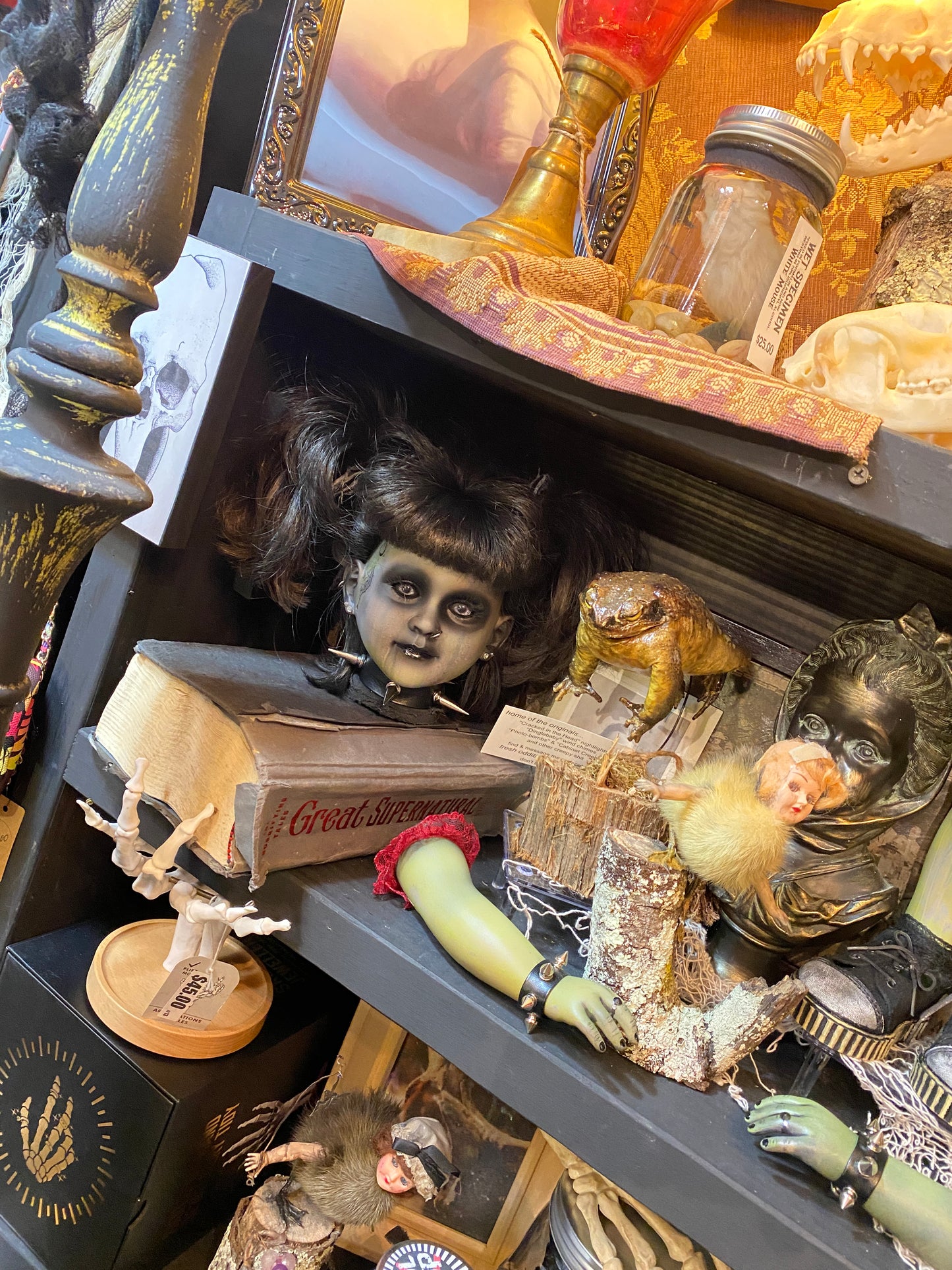 Cool Doll Head w/ spike collar