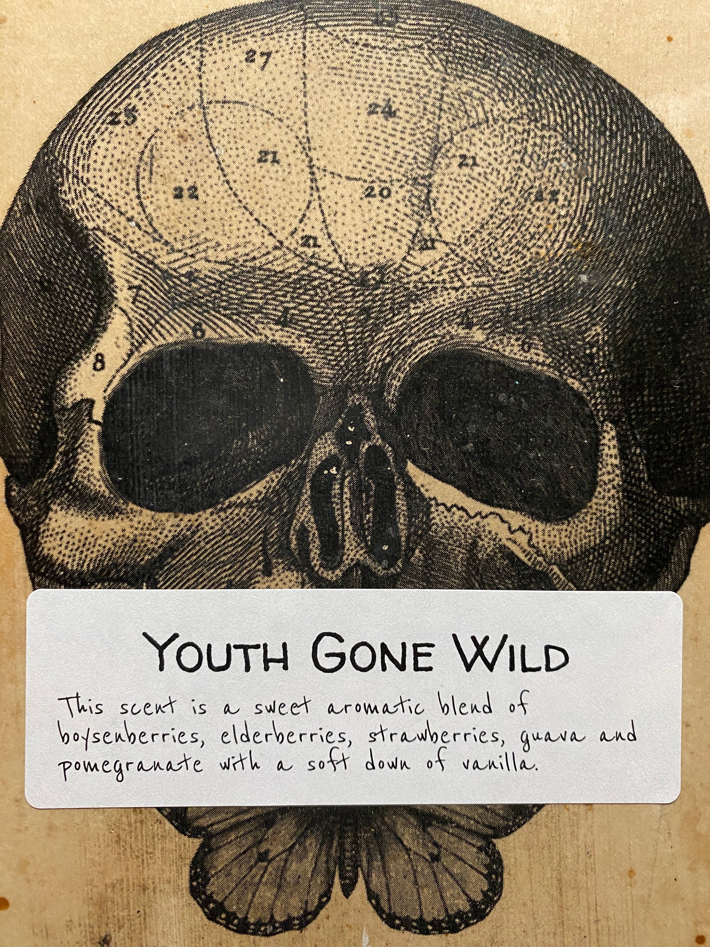 Youth Gone Wild