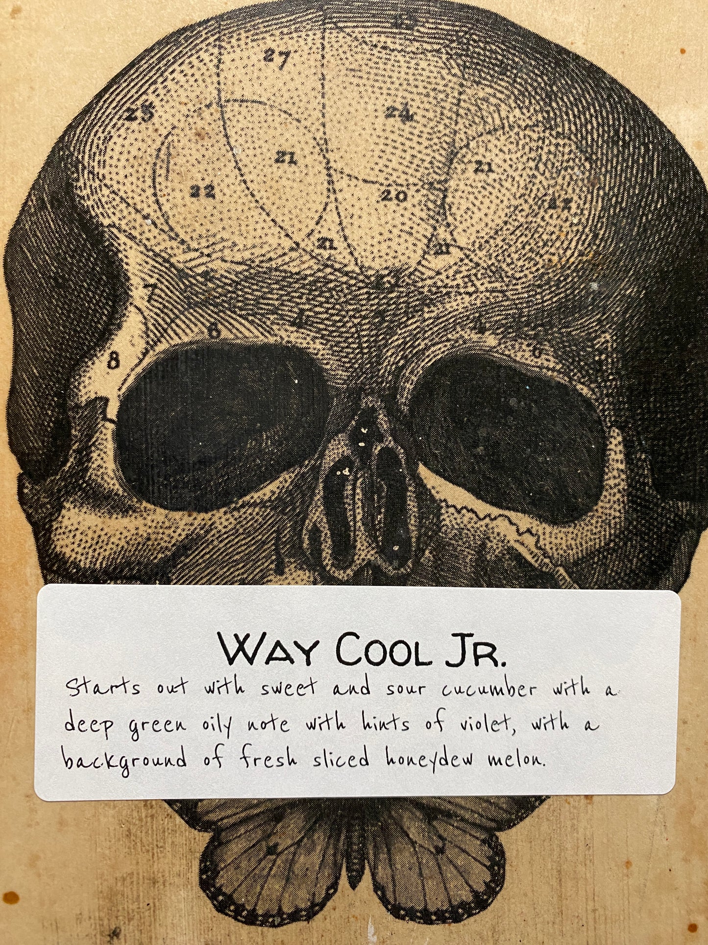 Way Cool Jr.
