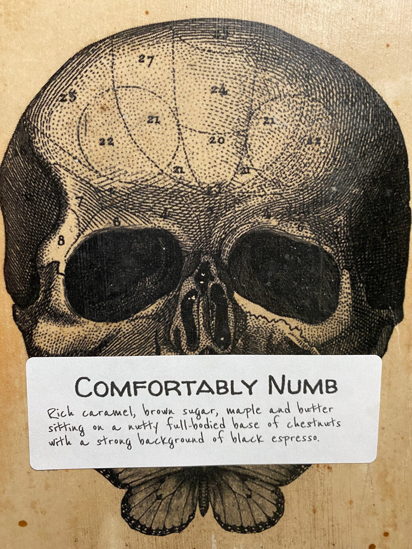 Comfortably Numb