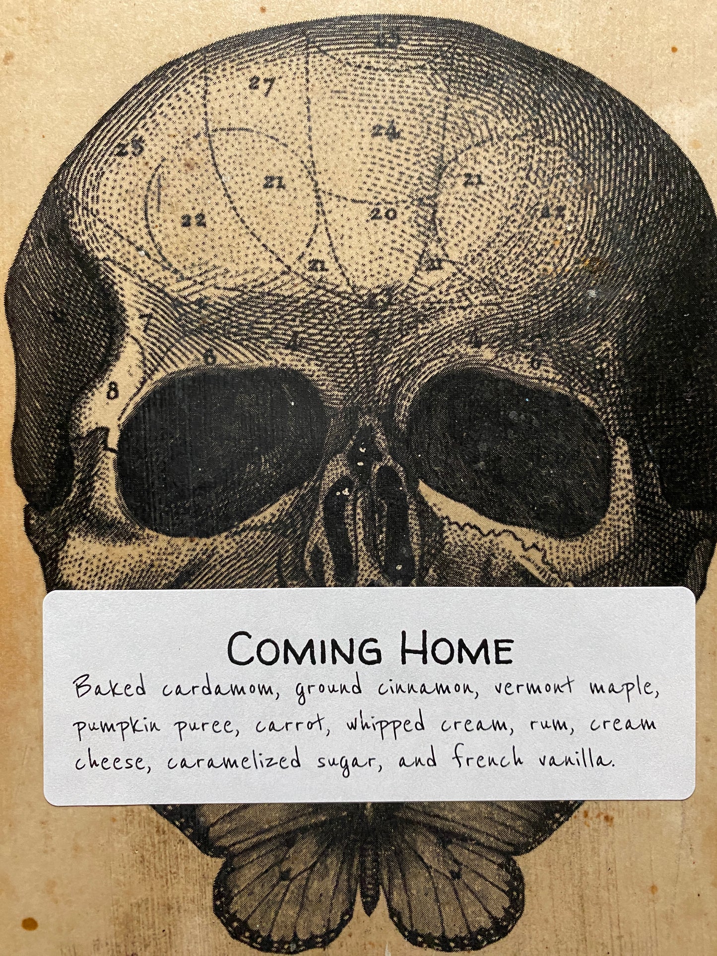 Coming Home