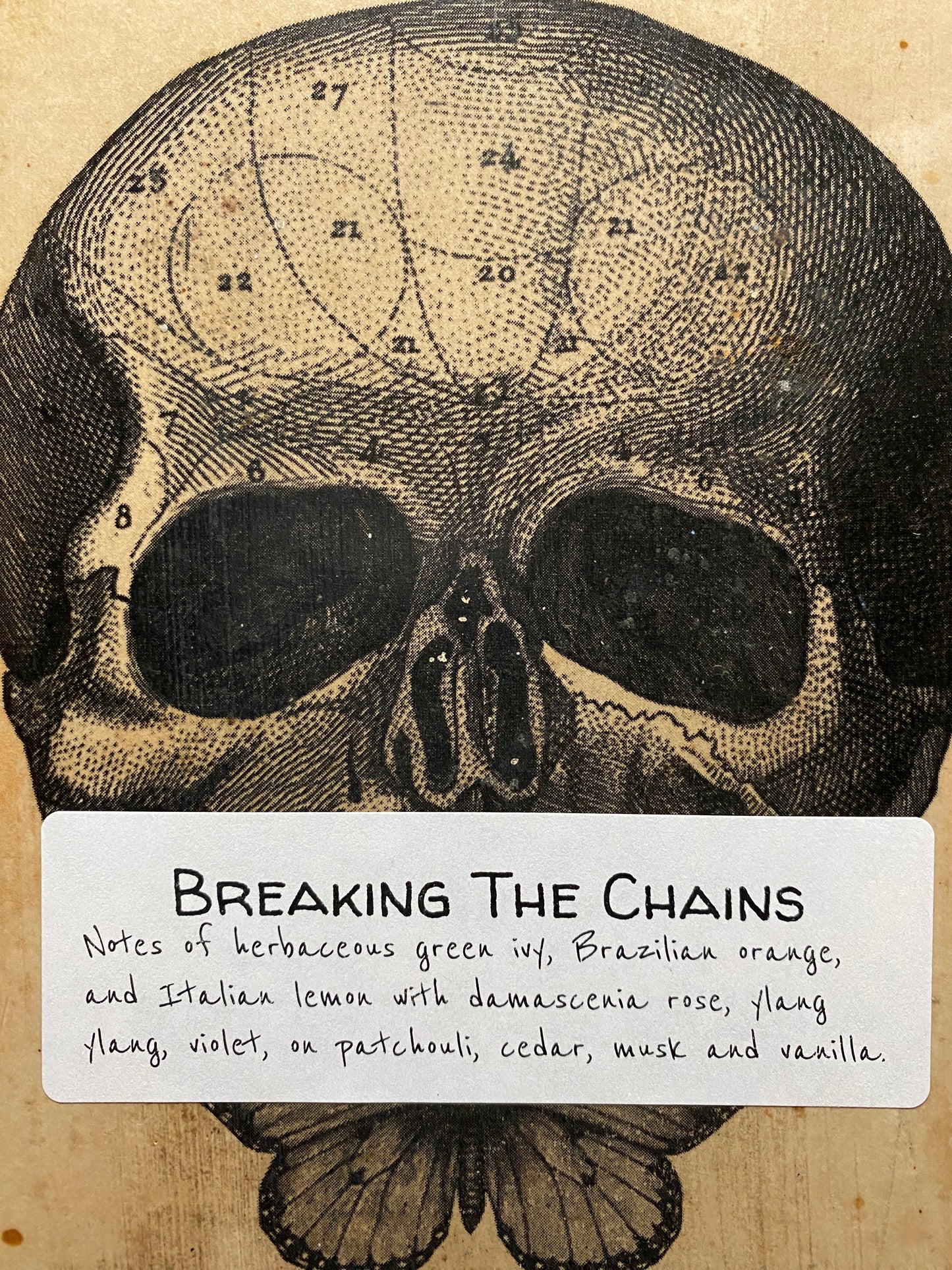 Breaking The Chains
