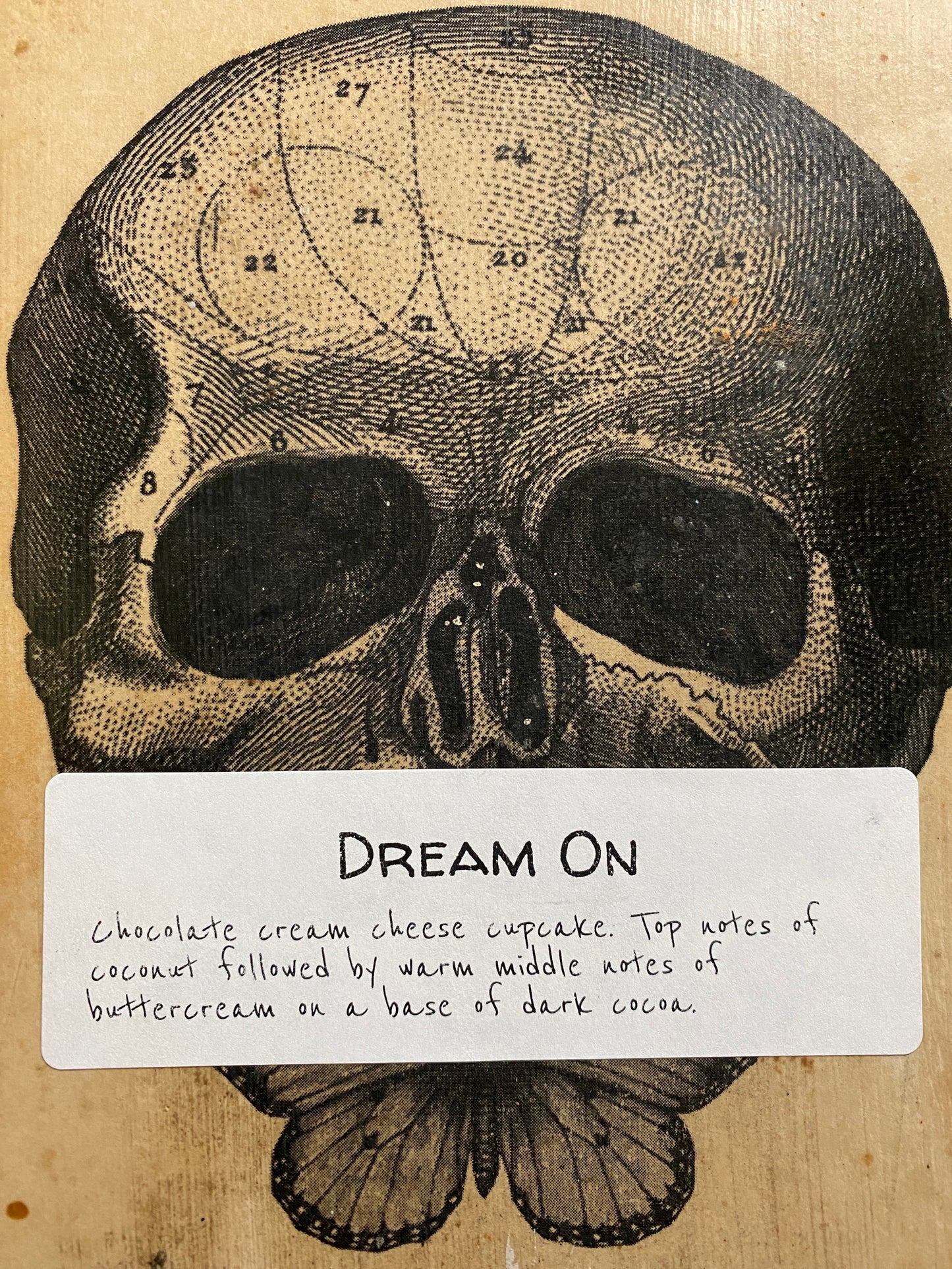 Dream On