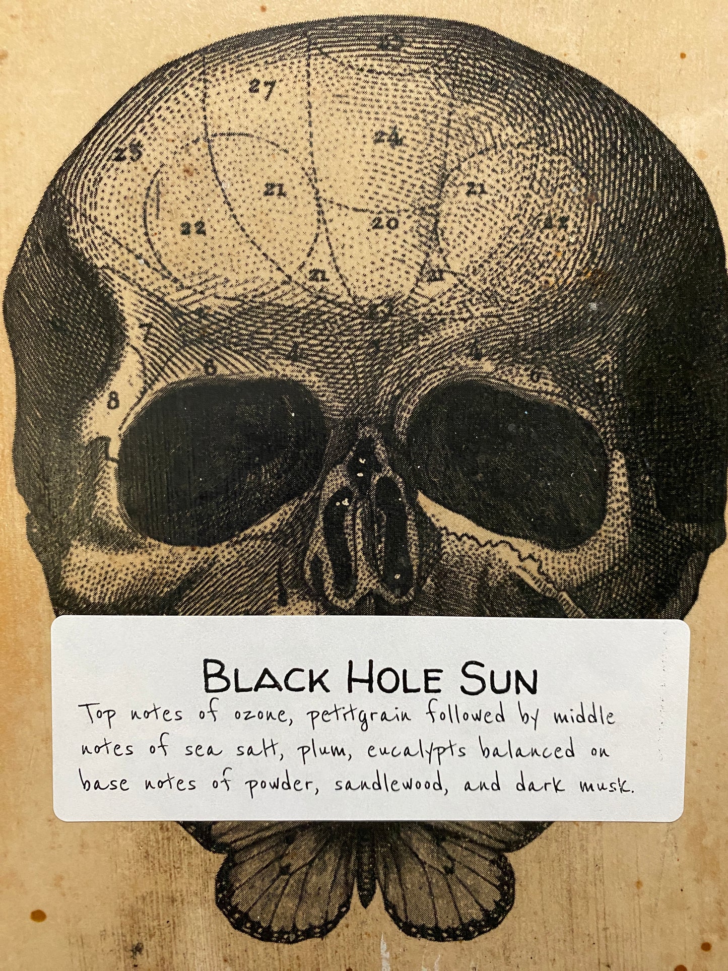 Black Hole Sun