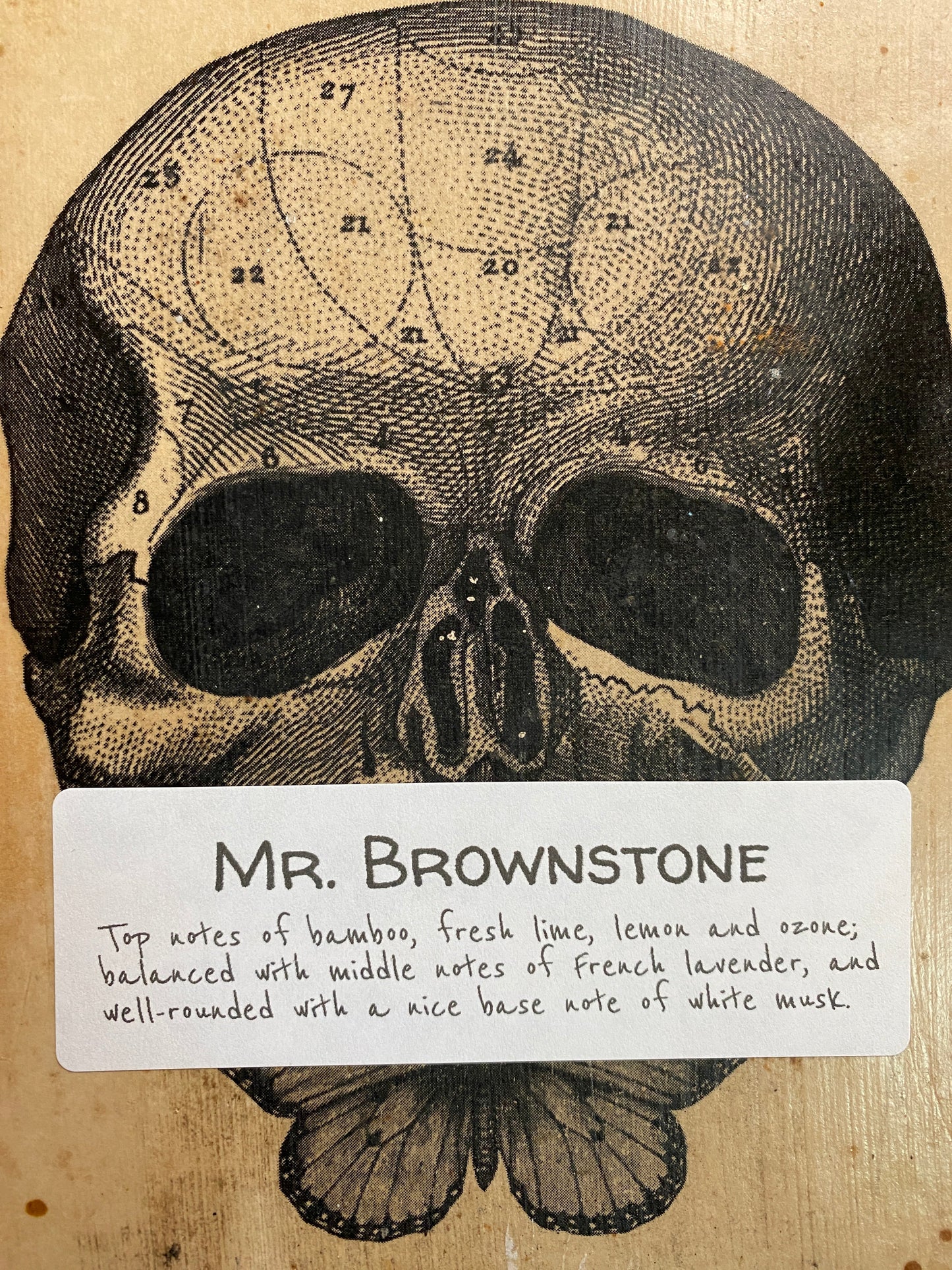 Mr. Brownstone