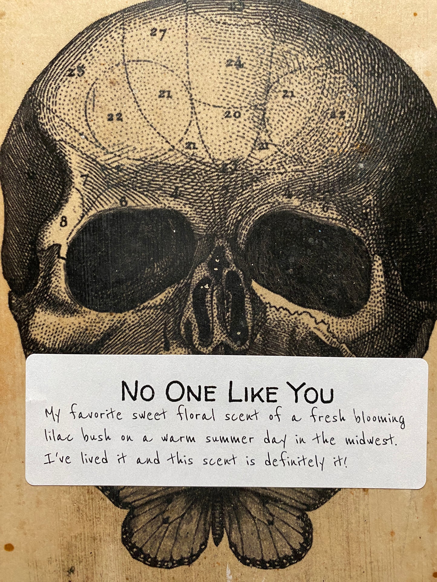 No One Like You