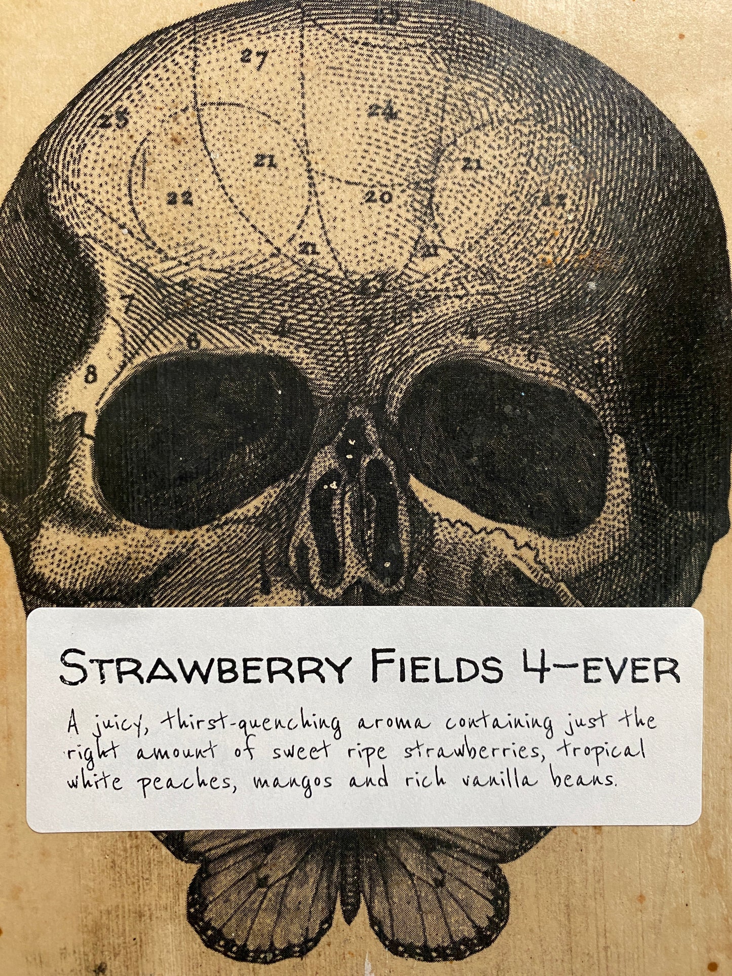 Strawberry Fields 4-Ever