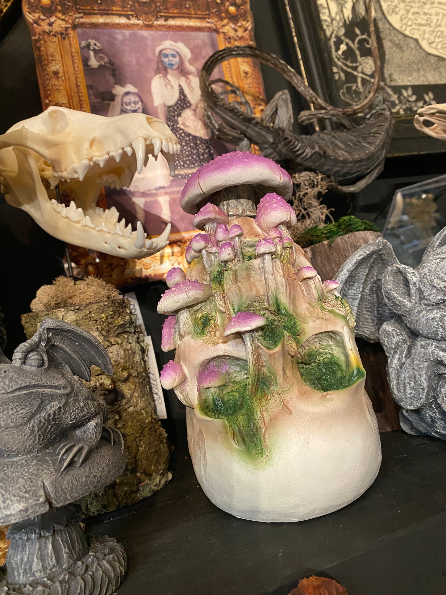 Skull with purple mushrooms