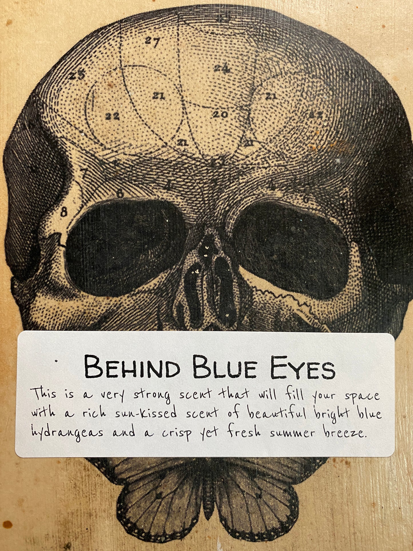 Behind Blue Eyes