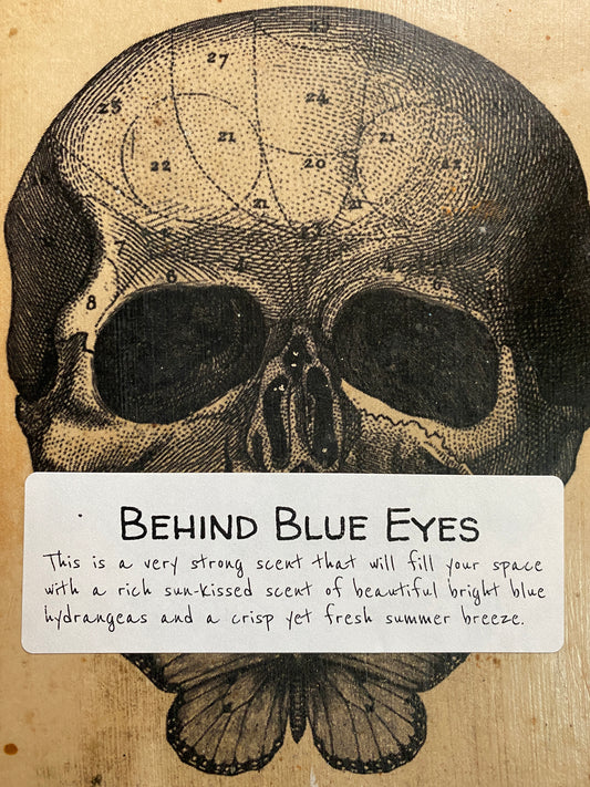 Behind Blue Eyes