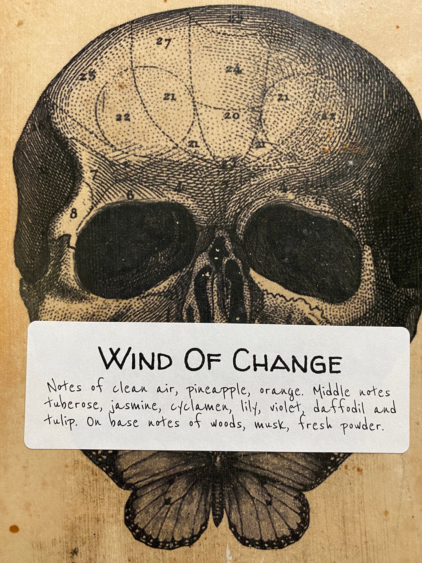 Wind Of Change